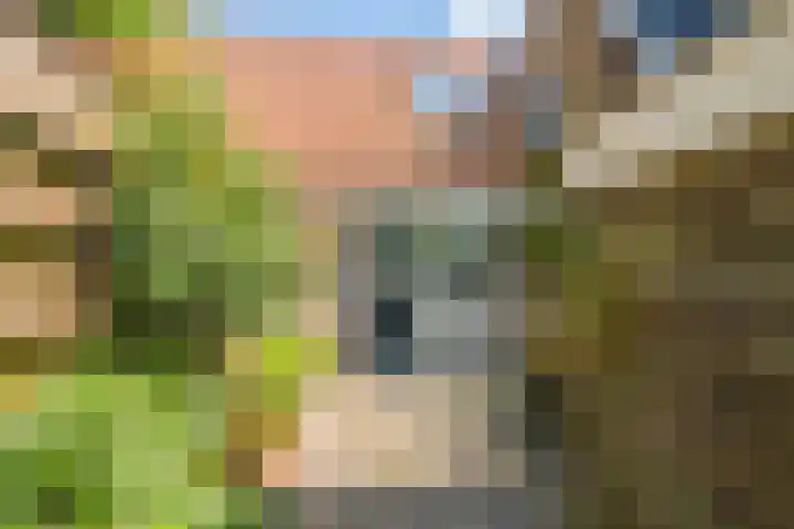 Boezemkade 6 Spaarndam gem. Haarlem thumbnail 17