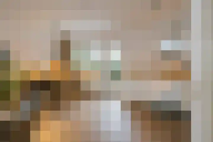 Boezemkade 6 Spaarndam gem. Haarlem thumbnail 4