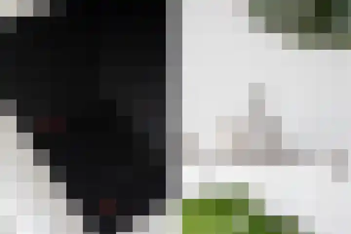 Boezemkade 85 Rotterdam thumbnail 15