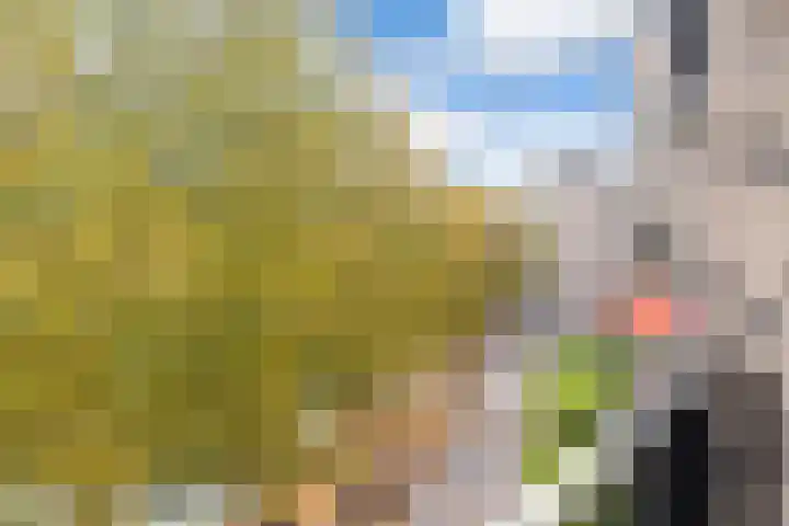 Boezemkade 85 Rotterdam thumbnail 19
