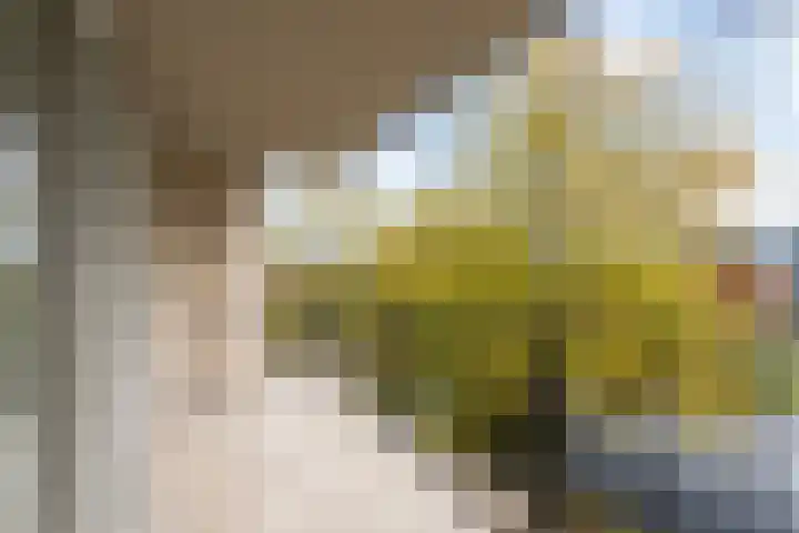 Boezemkade 85 Rotterdam thumbnail 22