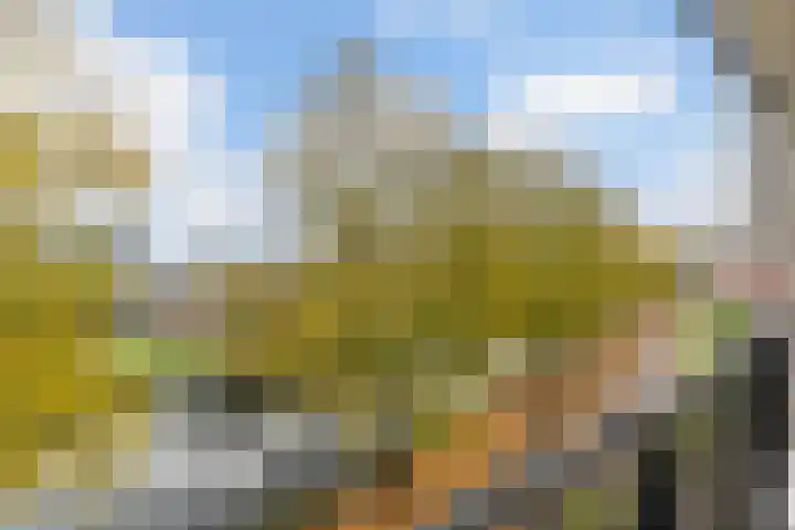 Boezemkade 85 Rotterdam thumbnail 23
