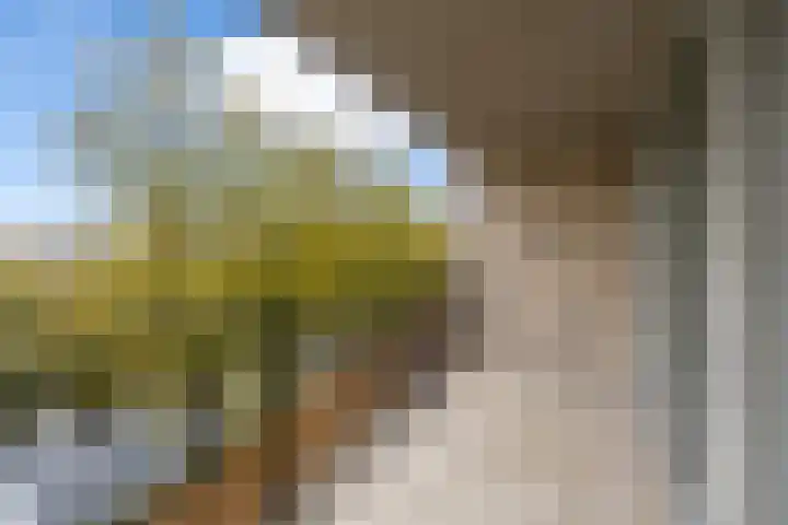 Boezemkade 85 Rotterdam thumbnail 4
