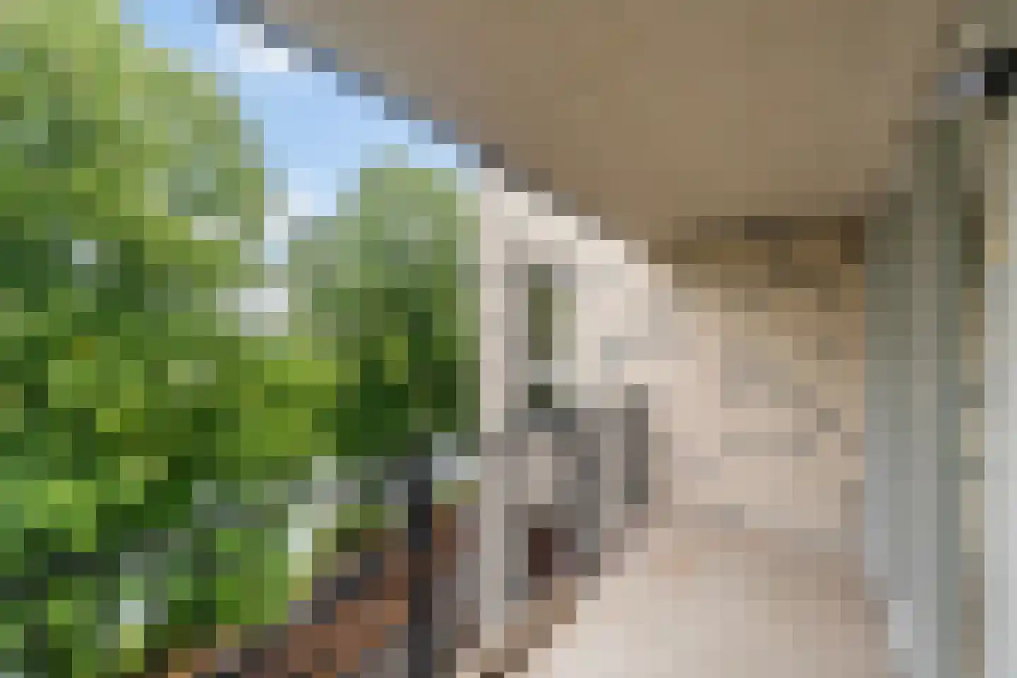 Boezemkade 89 Rotterdam thumbnail 28