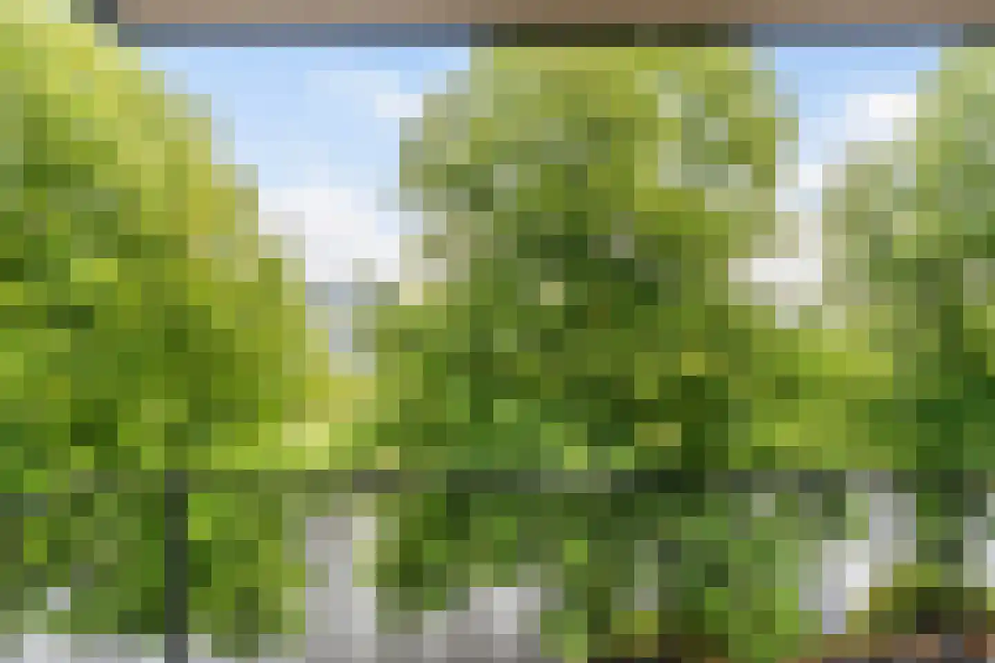 Boezemkade 89 Rotterdam thumbnail 29