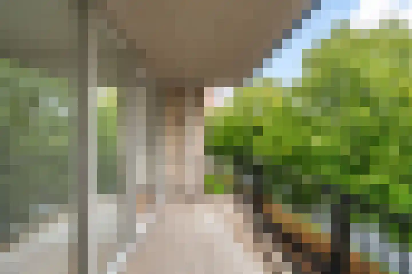 Boezemkade 89 Rotterdam thumbnail 5