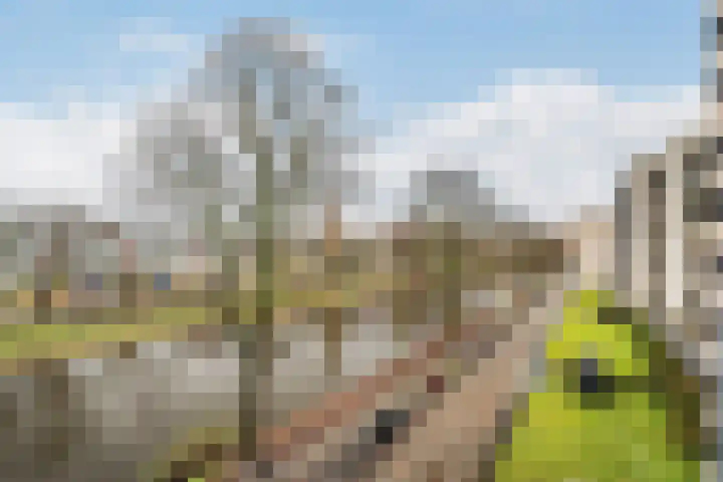 Boezemkade 91 Rotterdam thumbnail 14