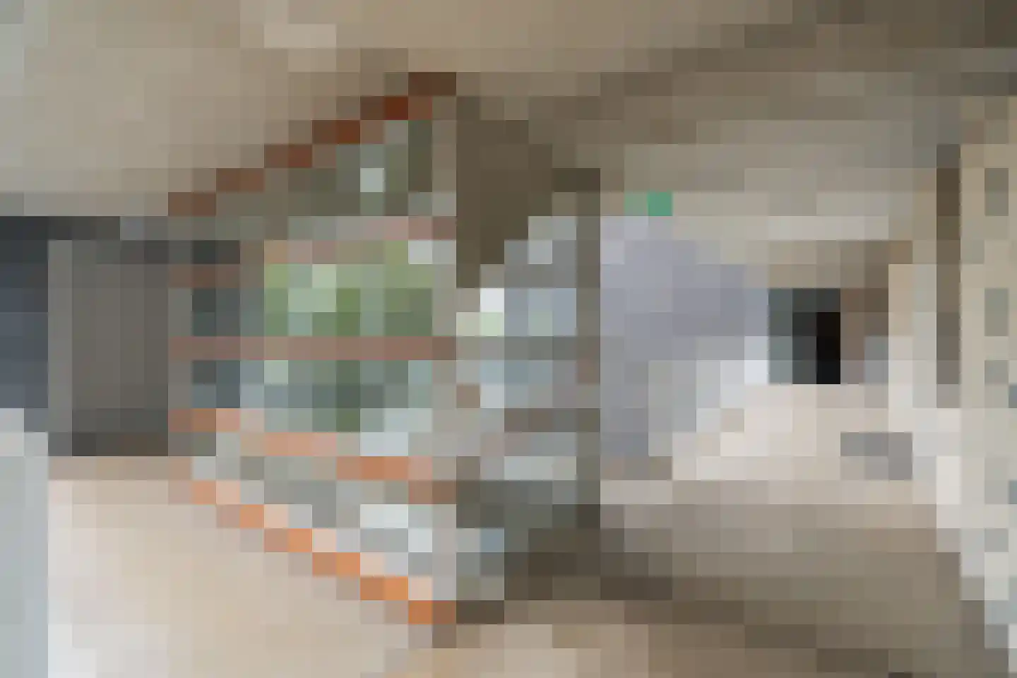 Boezemkade 91 Rotterdam thumbnail 27