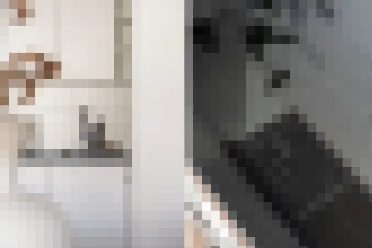 Boezemkade 99 Rotterdam thumbnail 16