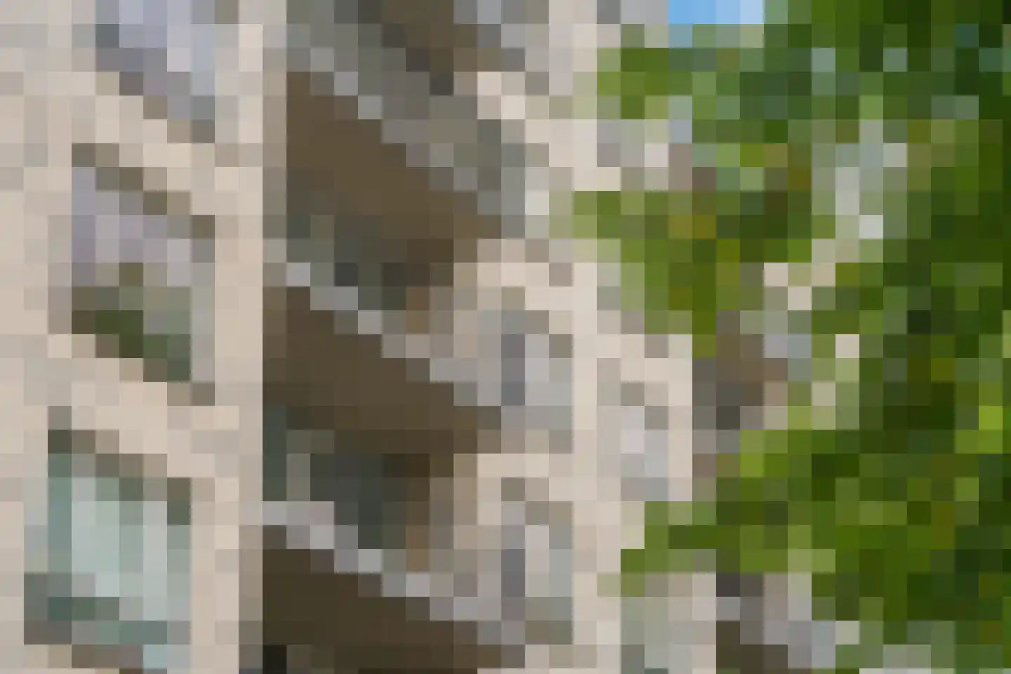 Boezemkade 99 Rotterdam thumbnail 36