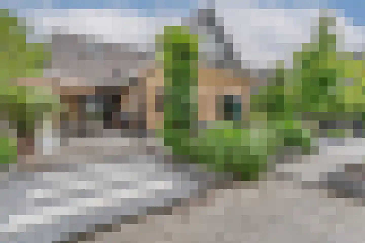 Boezemlaan 27 Boskoop thumbnail 14