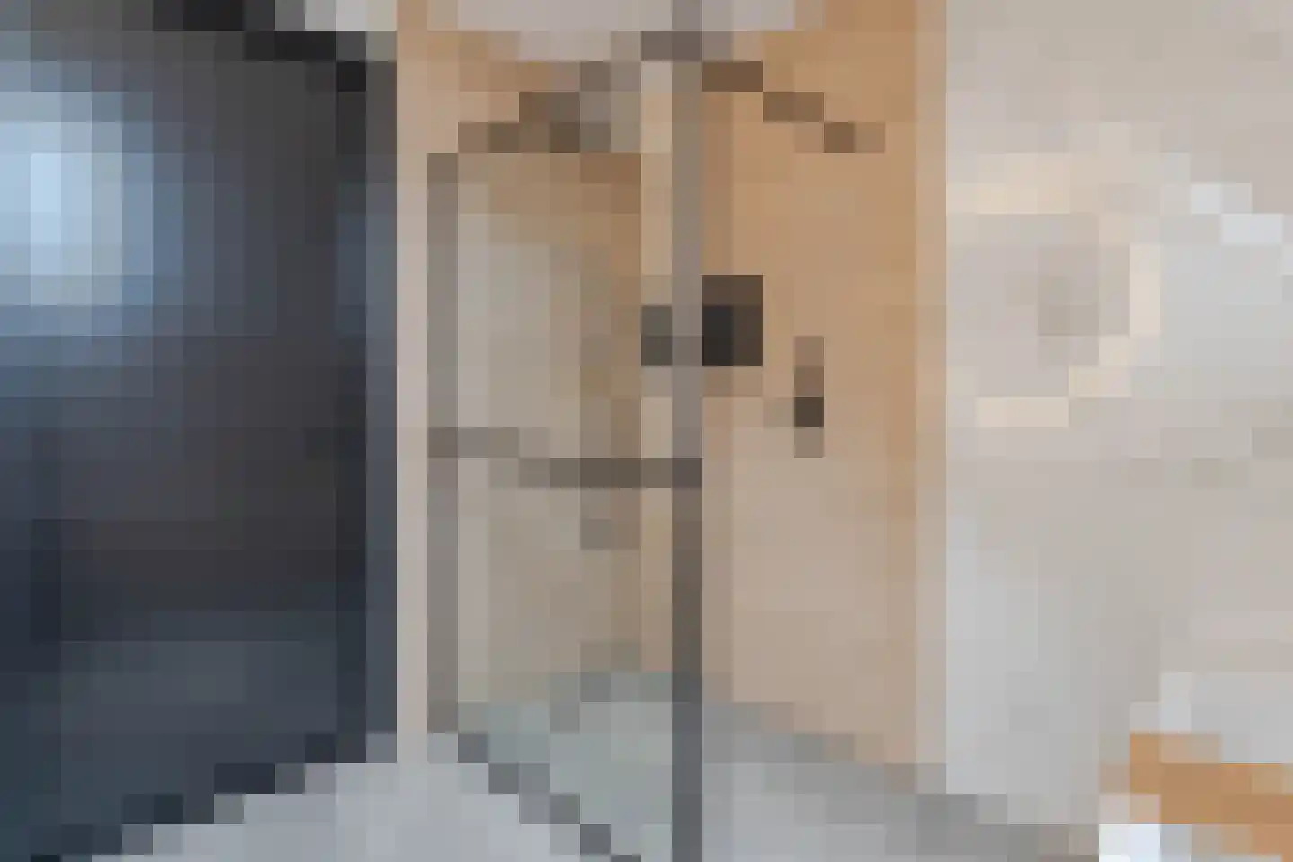 Boezemlaan 27 Boskoop thumbnail 24