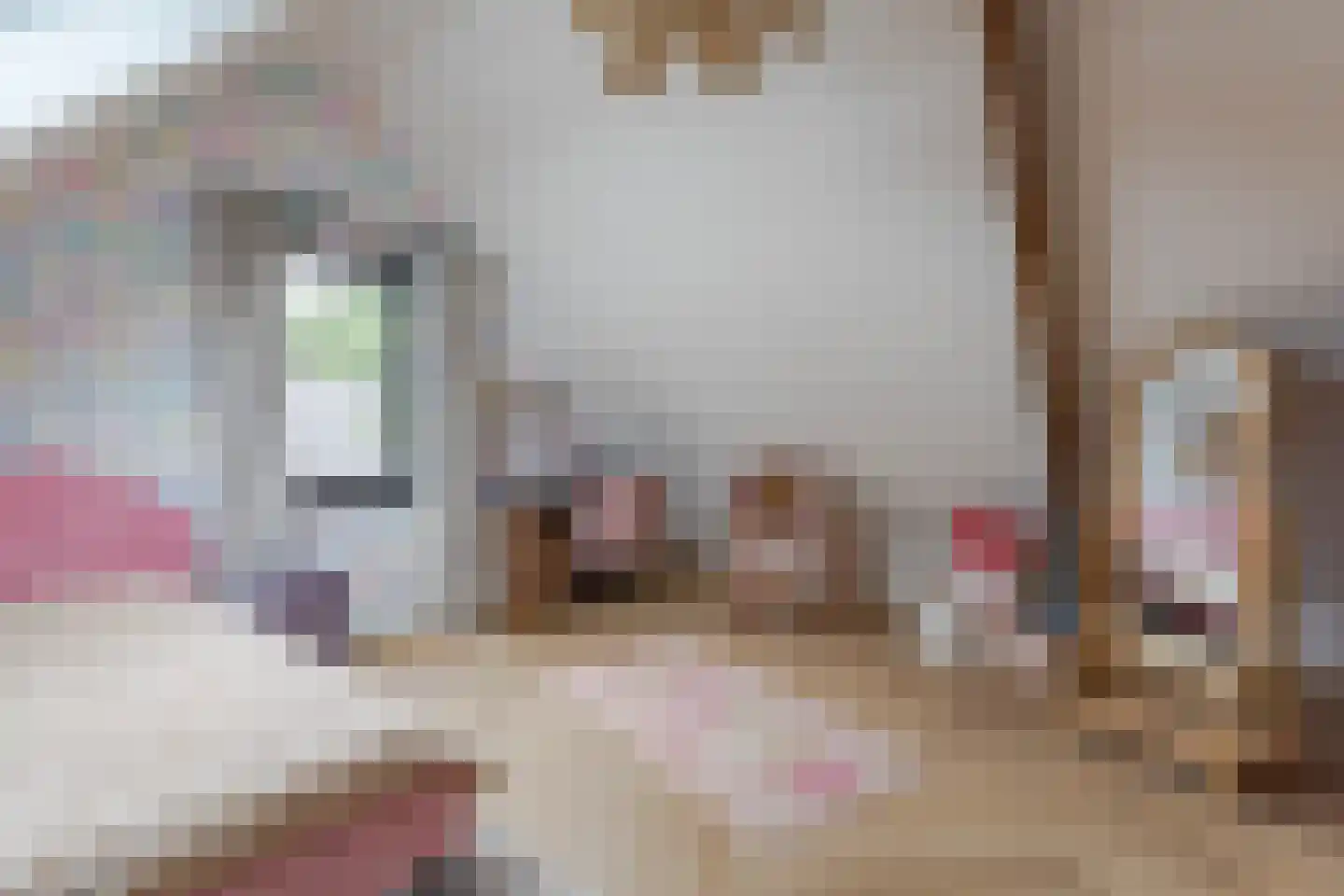 Boezemlaan 27 Boskoop thumbnail 25