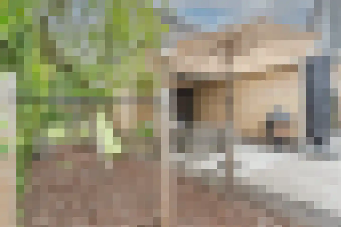 Boezemlaan 27 Boskoop thumbnail 27