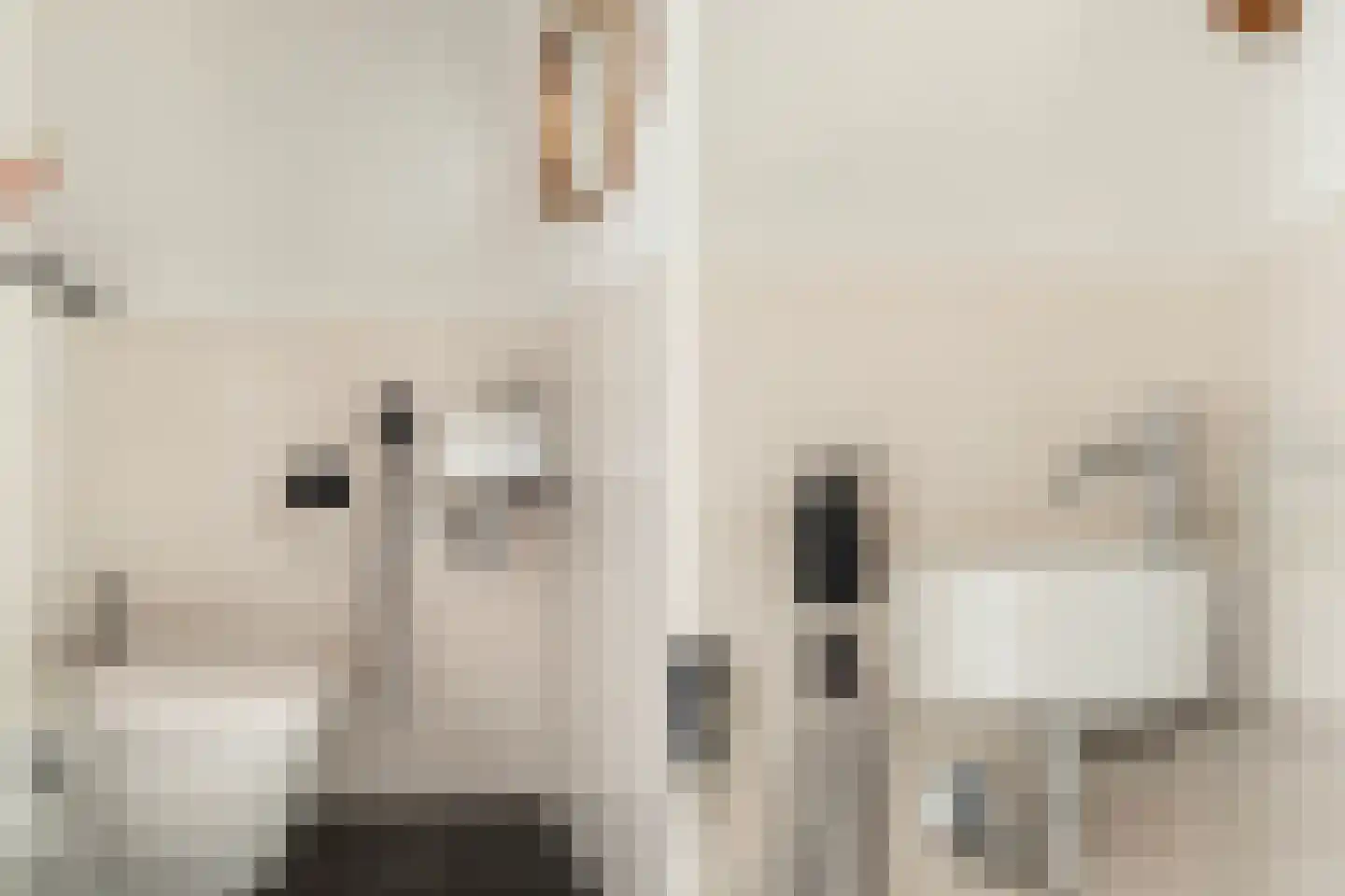 Boezemlaan 43 C Rotterdam thumbnail 33