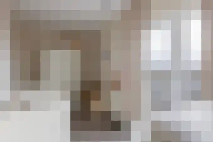 Boezemlaan 53 R Rotterdam thumbnail 13