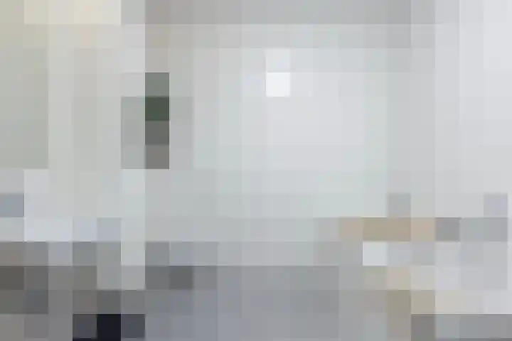 Boezemlaan 53 R Rotterdam thumbnail 15