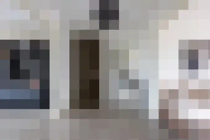 Boezemlaan 53 R Rotterdam thumbnail 6