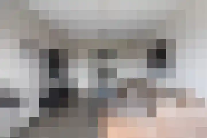 Boezemlaan 53 R Rotterdam thumbnail 7