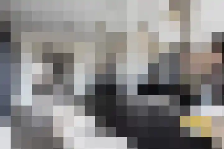 Boezemlaan 53 R Rotterdam thumbnail 8