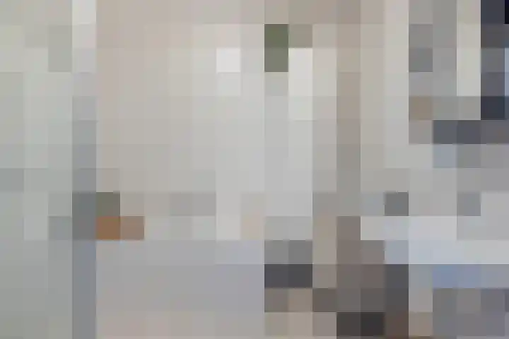 Boezemlaan 53 R Rotterdam thumbnail 9