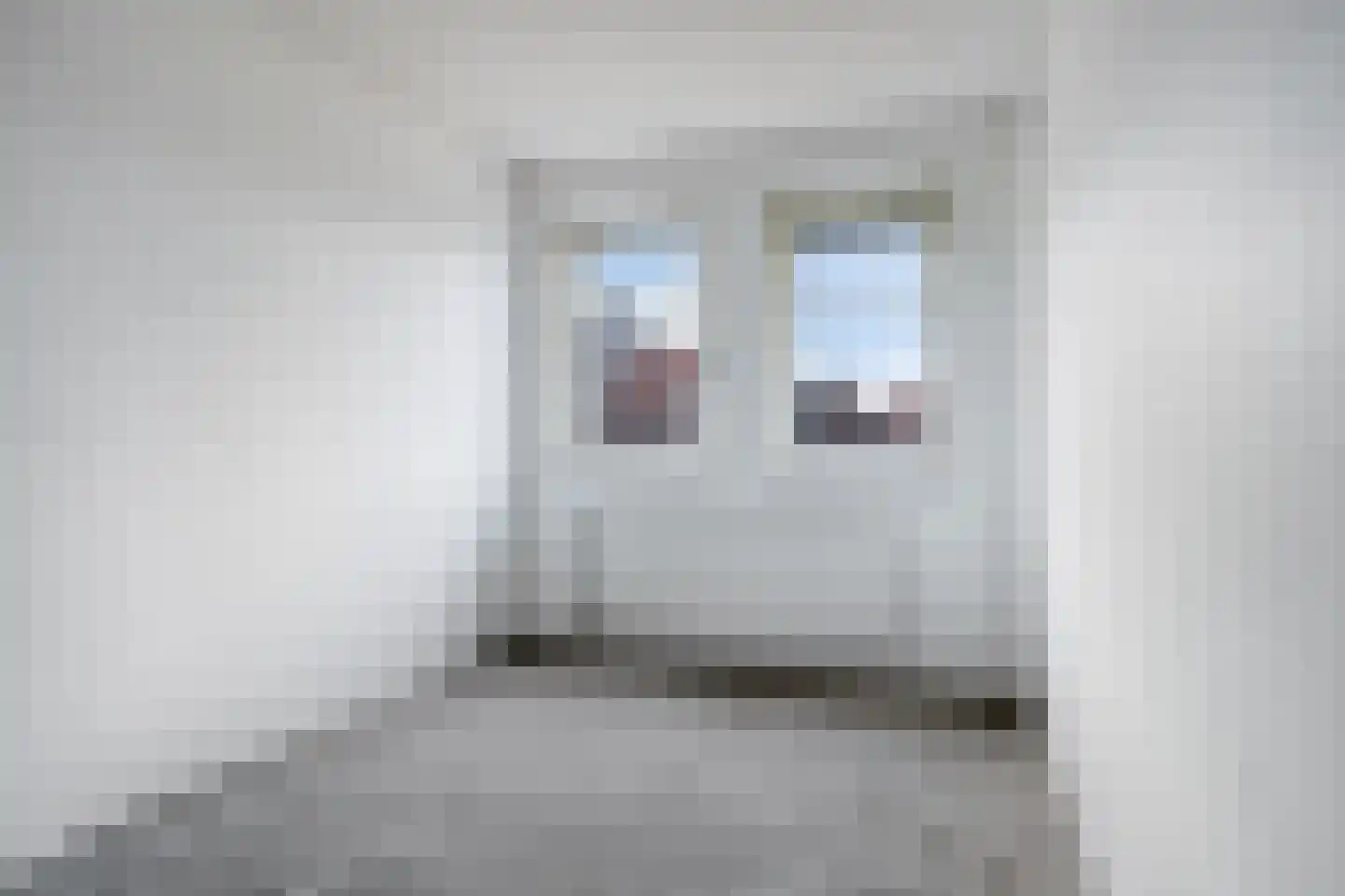 Boezemlanden 2 Groot-Ammers thumbnail 13