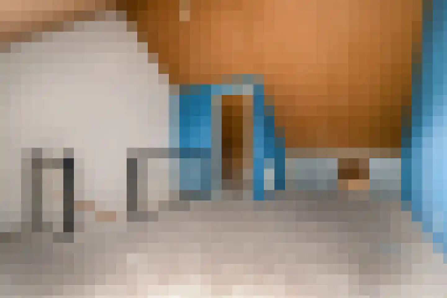 Boezemlanden 2 Groot-Ammers thumbnail 21