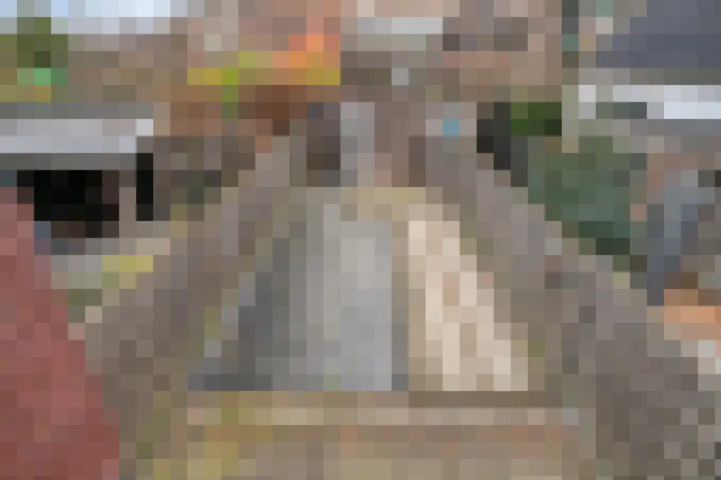 Boezemlanden 2 Groot-Ammers thumbnail 24