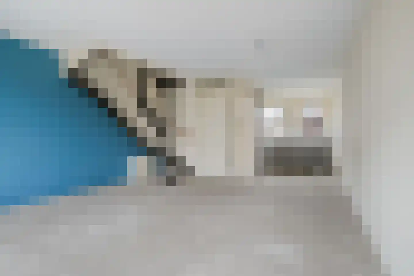 Boezemlanden 2 Groot-Ammers thumbnail 5