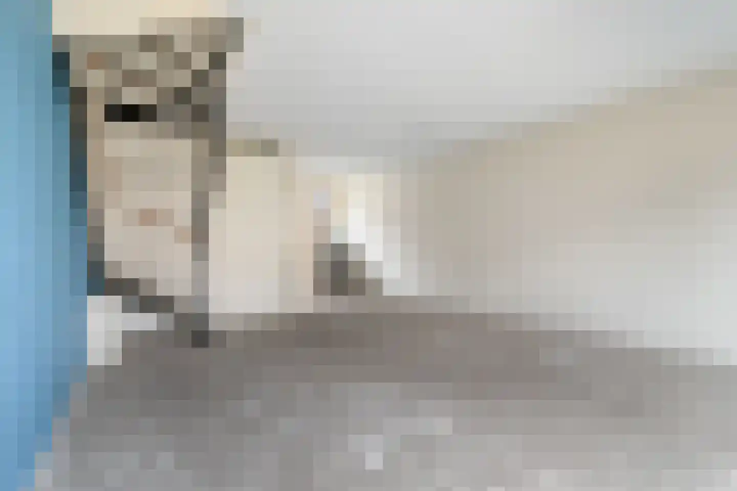 Boezemlanden 2 Groot-Ammers thumbnail 6