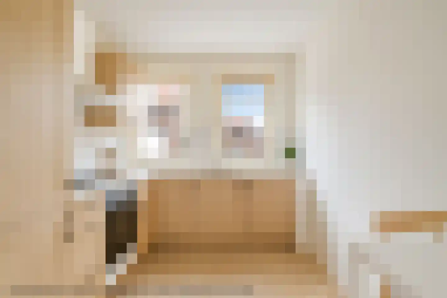 Boezemlanden 2 Groot-Ammers thumbnail 7