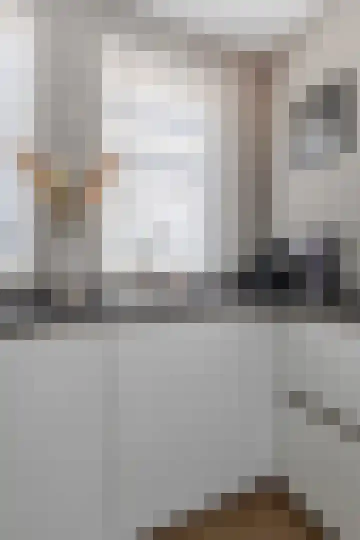 Boezemlanden 6 Groot-Ammers thumbnail 11