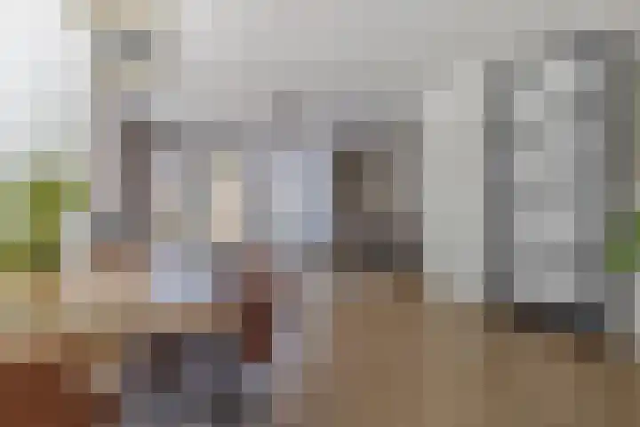 Boezemlanden 6 Groot-Ammers thumbnail 12