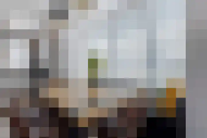 Boezemlanden 6 Groot-Ammers thumbnail 14
