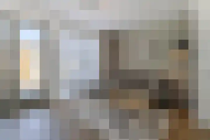 Boezemlanden 6 Groot-Ammers thumbnail 15