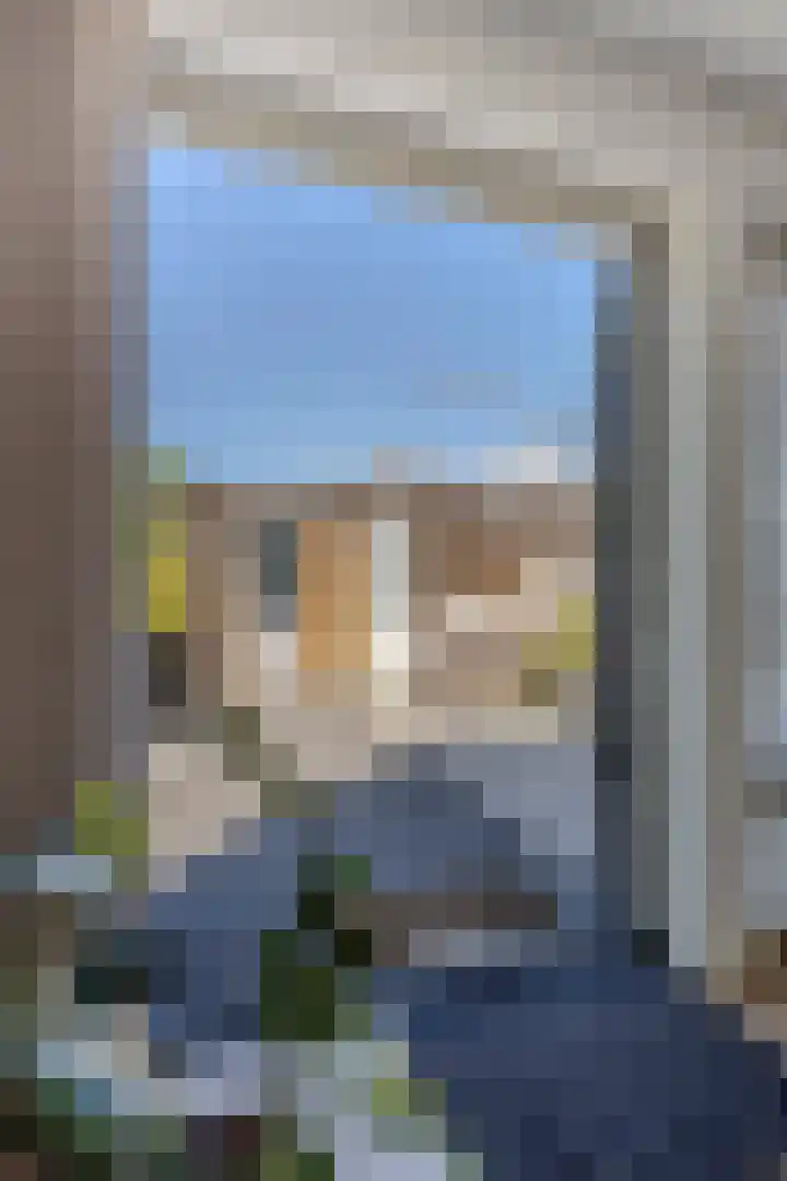 Boezemlanden 6 Groot-Ammers thumbnail 16