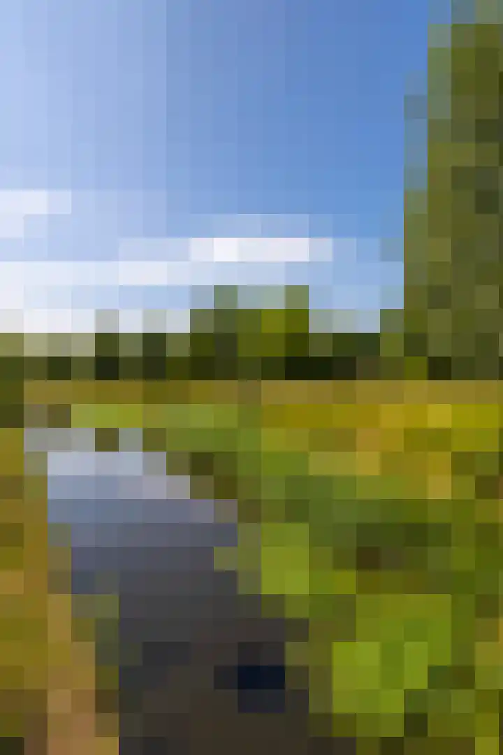 Boezemlanden 6 Groot-Ammers thumbnail 17
