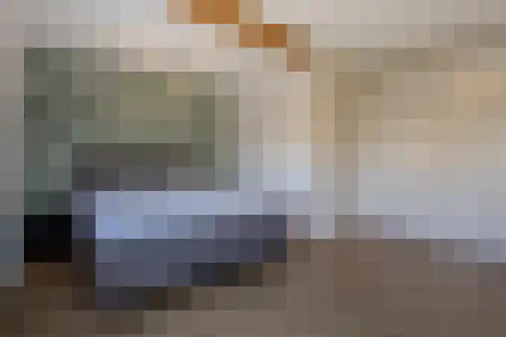 Boezemlanden 6 Groot-Ammers thumbnail 22