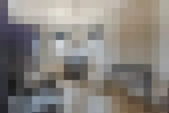Boezemlanden 6 Groot-Ammers thumbnail 23