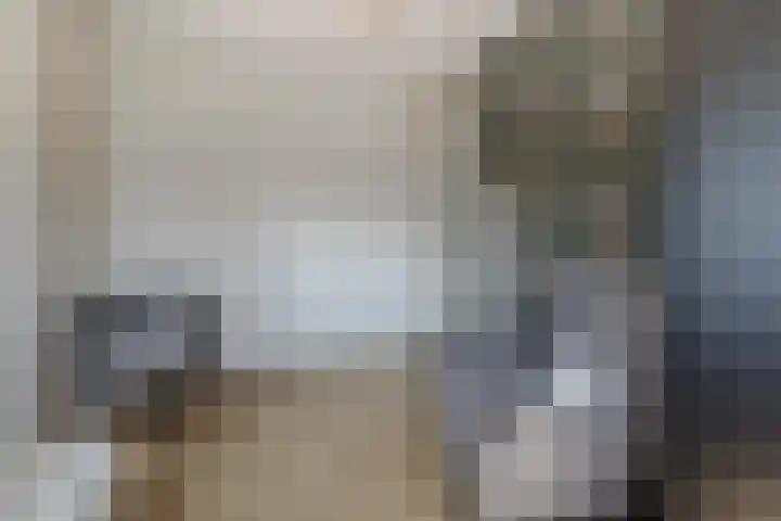 Boezemlanden 6 Groot-Ammers thumbnail 24