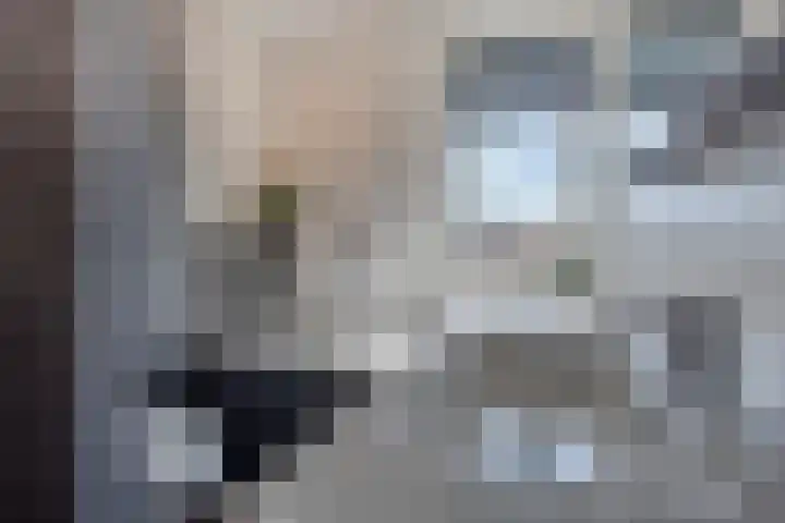 Boezemlanden 6 Groot-Ammers thumbnail 25