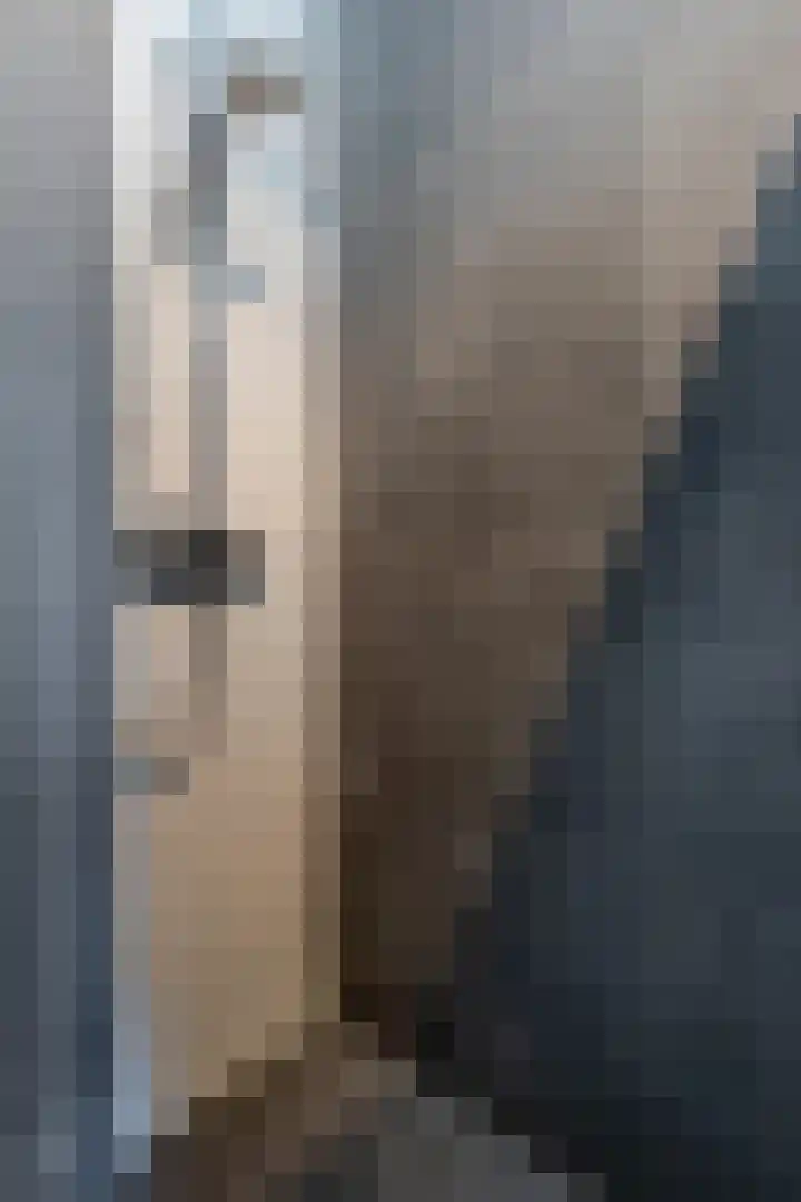 Boezemlanden 6 Groot-Ammers thumbnail 26
