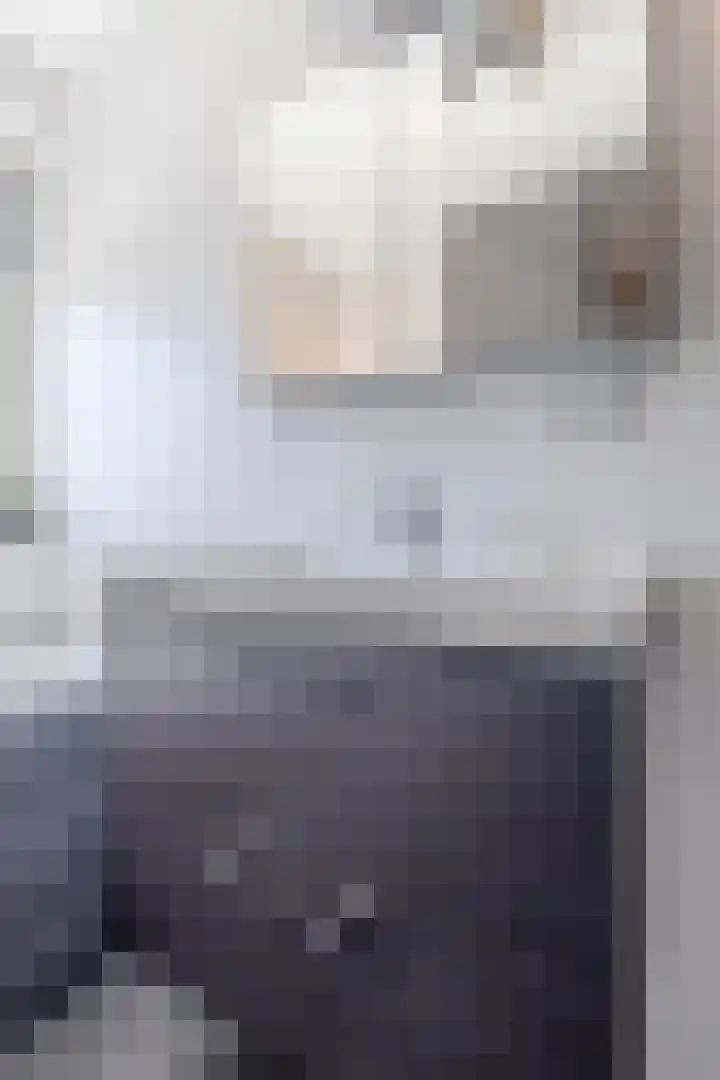 Boezemlanden 6 Groot-Ammers thumbnail 27