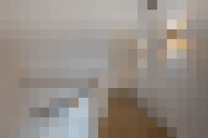 Boezemlanden 6 Groot-Ammers thumbnail 30