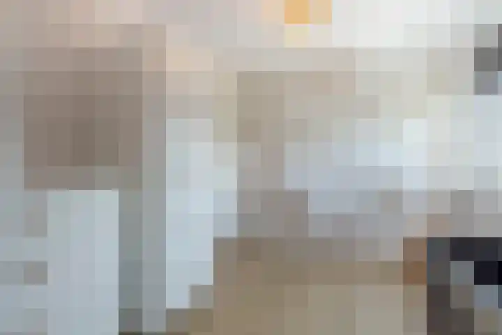 Boezemlanden 6 Groot-Ammers thumbnail 31