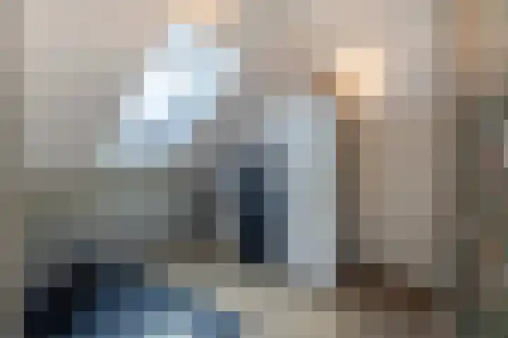 Boezemlanden 6 Groot-Ammers thumbnail 32