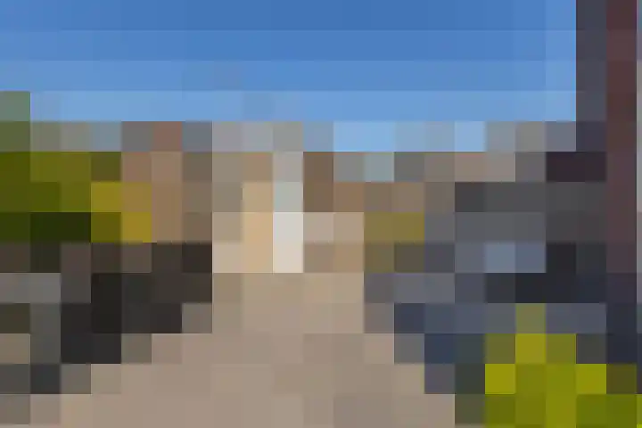 Boezemlanden 6 Groot-Ammers thumbnail 34