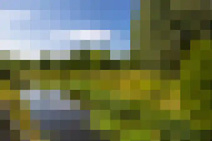 Boezemlanden 6 Groot-Ammers thumbnail 36