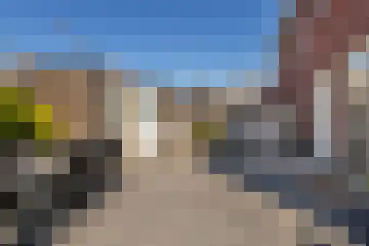 Boezemlanden 6 Groot-Ammers thumbnail 37