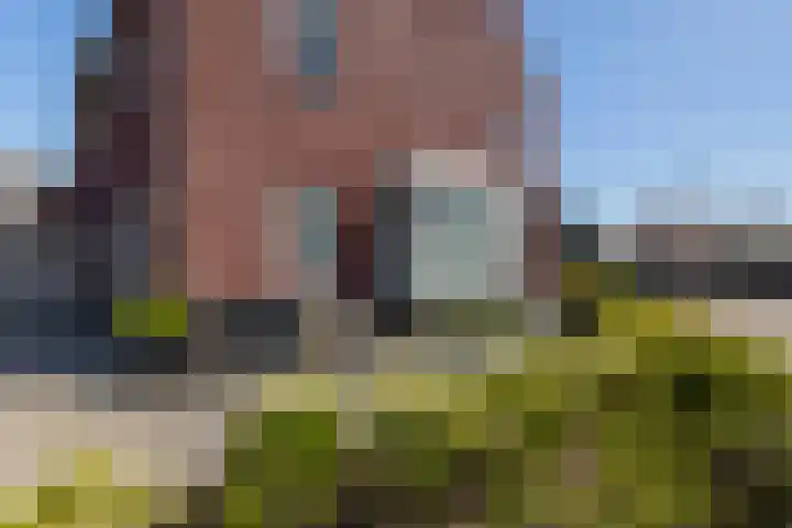 Boezemlanden 6 Groot-Ammers thumbnail 39